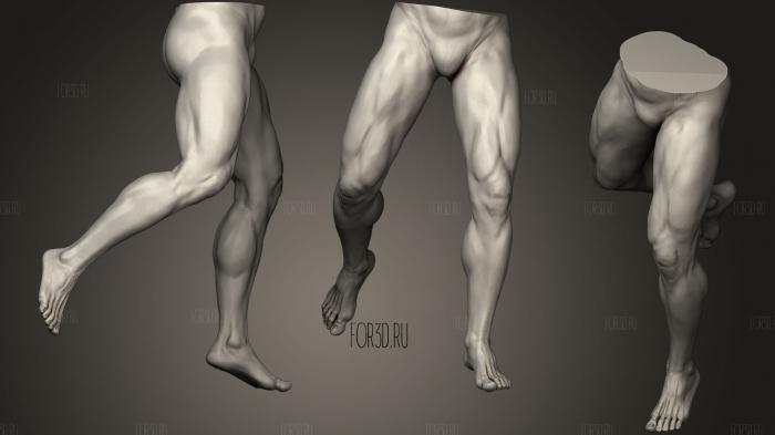 Male Legs 515